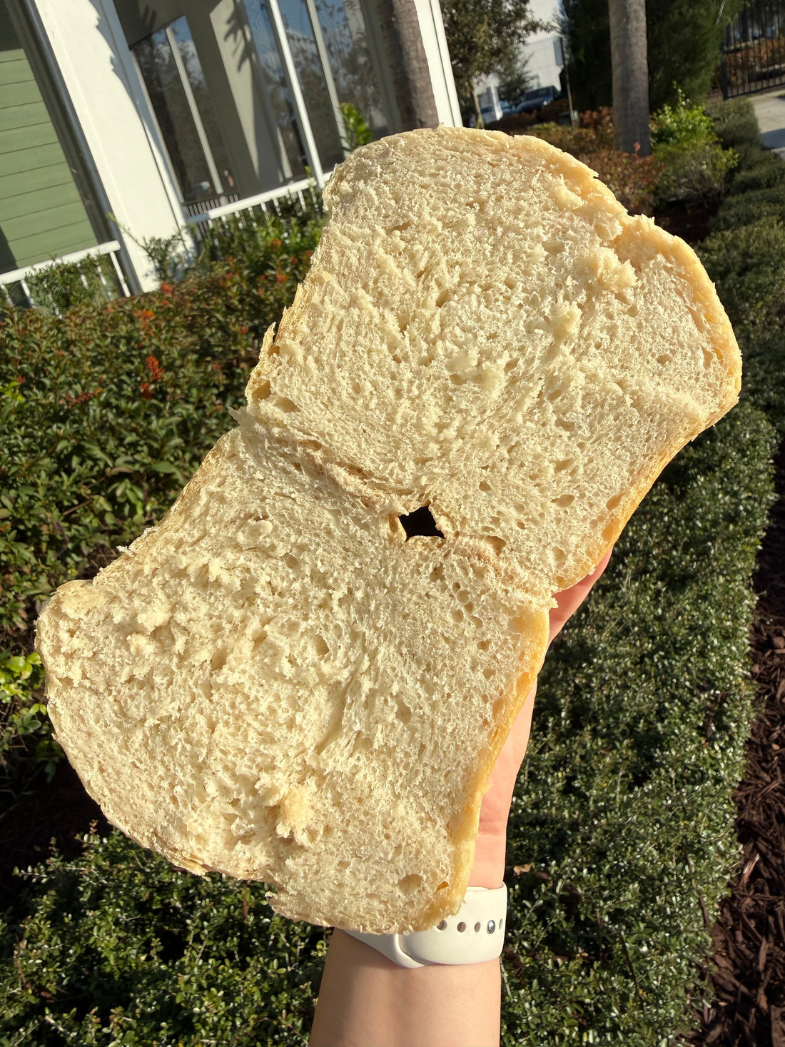 We're Baking Bread Now — 4 Artisan Loaves, Sourdough or Regular - Crushin' on Cookies
